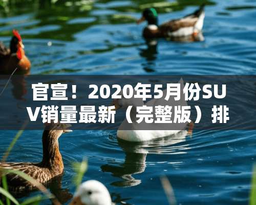 官宣！2020年5月份SUV销量最新（完整版）排名出炉——1-230名！