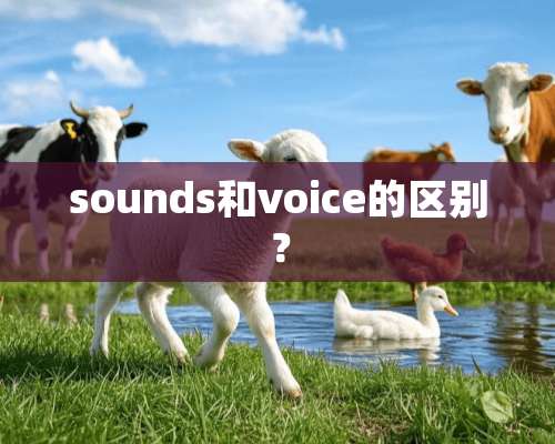 sounds和voice的区别？