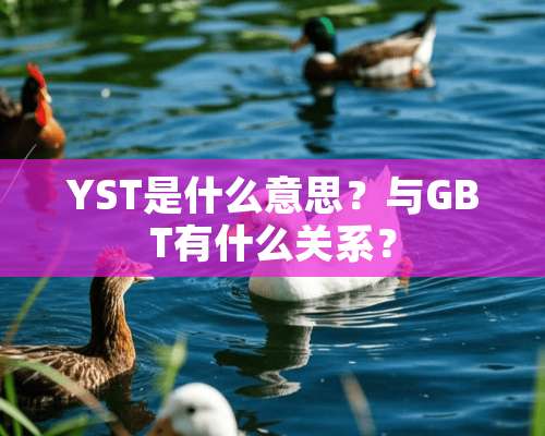 YST是什么意思？与GBT有什么关系？