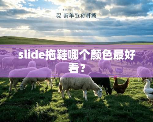 slide拖鞋哪个颜色最好看？