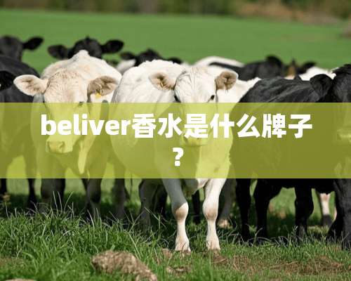 beliver香水是什么牌子？