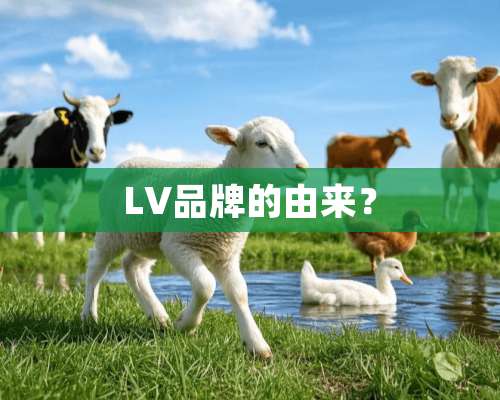 LV品牌的由来？