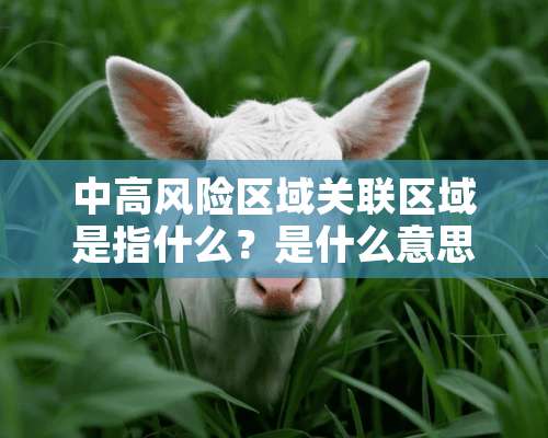 中高风险区域关联区域是指什么？是什么意思啊？