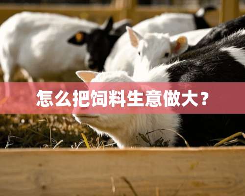 怎么把饲料生意做大？