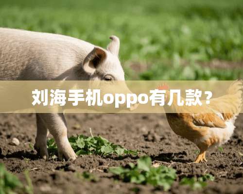 刘海手机oppo有几款？