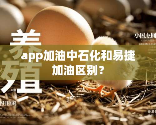 app加油中石化和易捷加油区别？