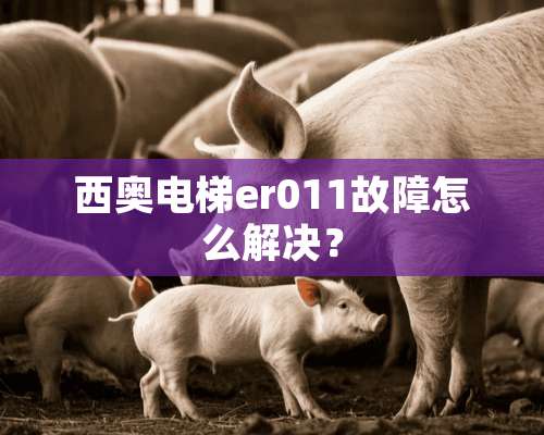 西奥电梯er011故障怎么解决？