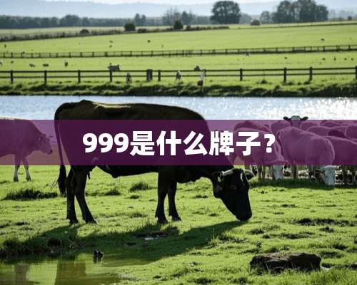 999是什么牌子？