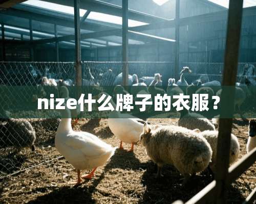 nize什么牌子的衣服？