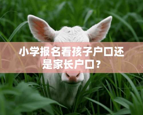 小学报名看孩子户口还是家长户口？