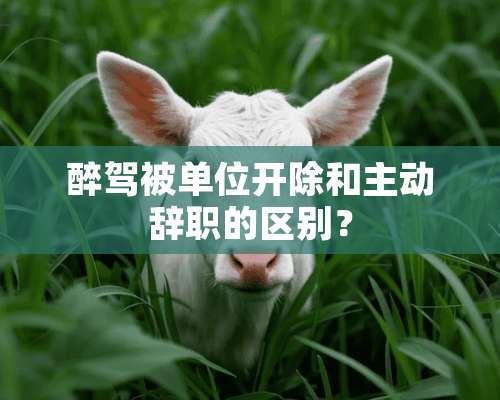 醉驾被单位开除和主动辞职的区别？