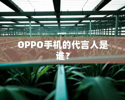 OPPO手机的代言人是谁？