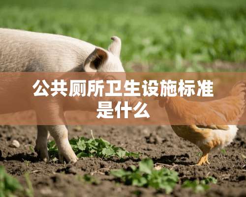 公共厕所卫生设施标准是什么