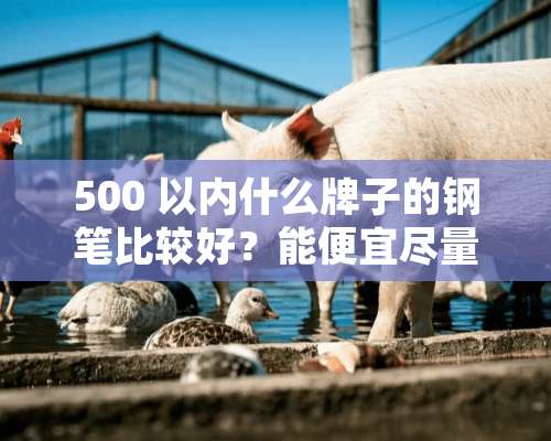 500 以内什么牌子的钢笔比较好？能便宜尽量便宜关键是好用，做工说的过去