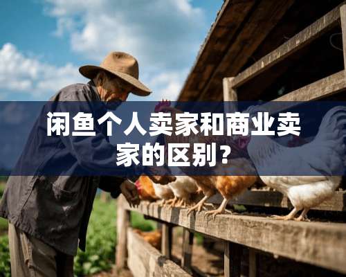 闲鱼个人卖家和商业卖家的区别？