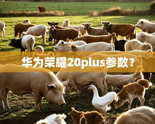 华为荣耀20plus参数？