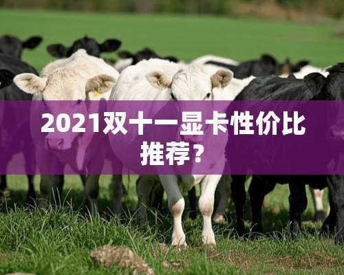 2021双十一显卡性价比推荐？