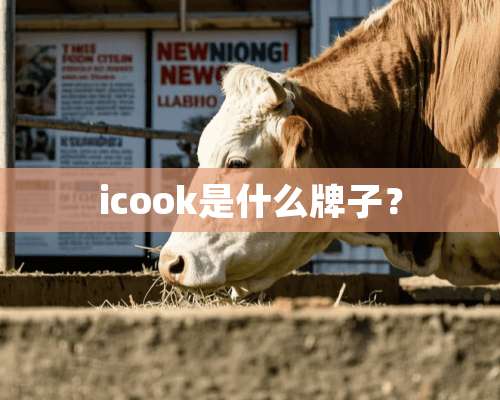 icook是什么牌子？