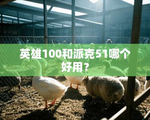 英雄100和派克51哪个好用？