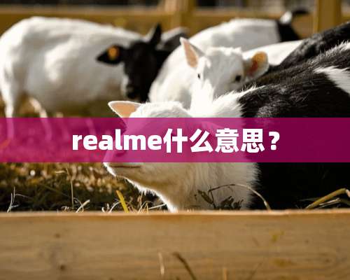 realme什么意思？