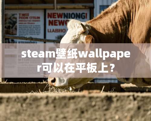 steam壁纸wallpaper可以在平板上？