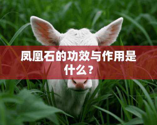 凤凰石的功效与作用是什么？