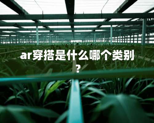 ar穿搭是什么哪个类别？