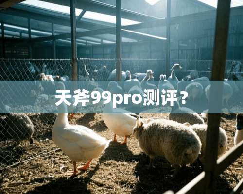 天斧99pro测评？