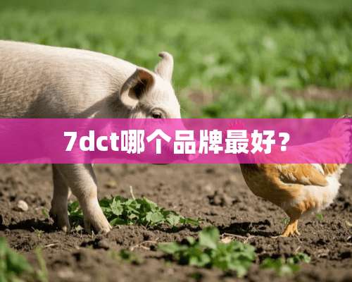 7dct哪个品牌最好？