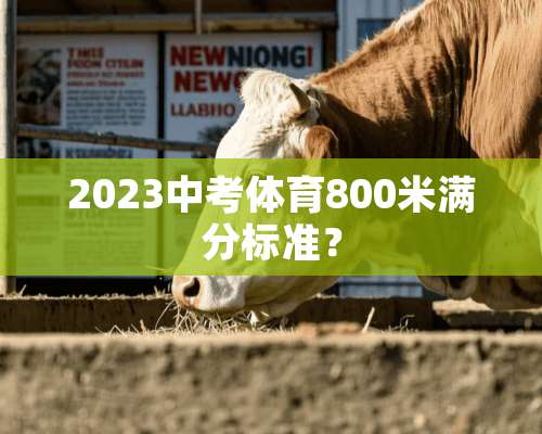 2023中考体育800米满分标准？