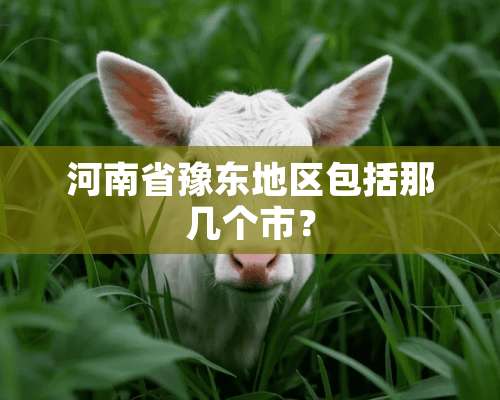 河南省豫东地区包括那几个市？