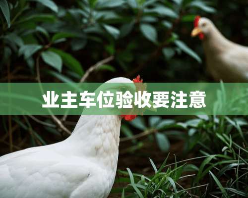 业主车位验收要注意