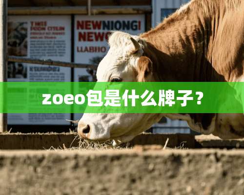 zoeo包是什么牌子？