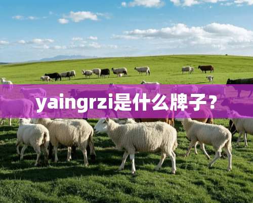 yaingrzi是什么牌子？