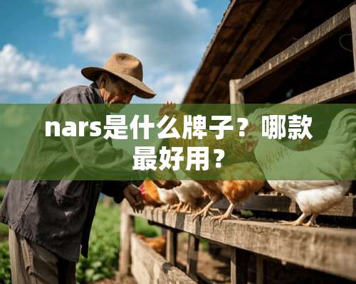 nars是什么牌子？哪款最好用？