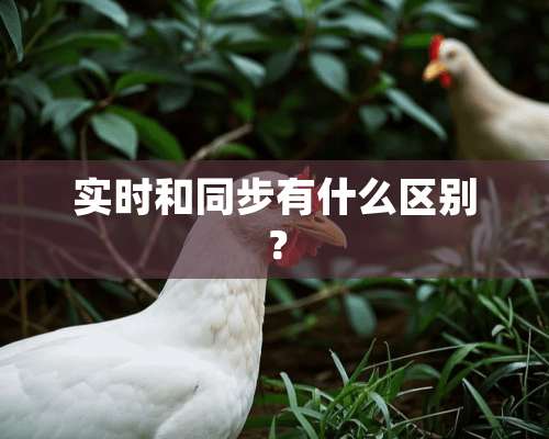 实时和同步有什么区别？