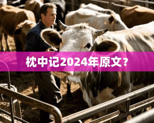 枕中记2024年原文？