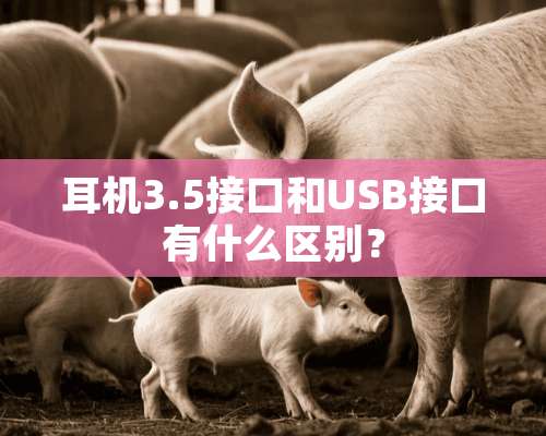 耳机3.5接口和USB接口有什么区别？