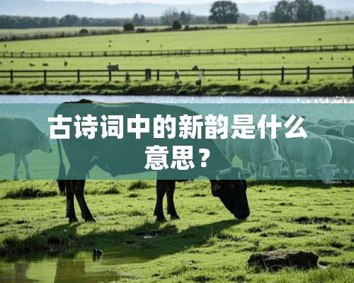 古诗词中的新韵是什么意思？