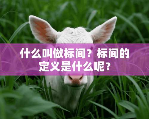 什么叫做标间？标间的定义是什么呢？