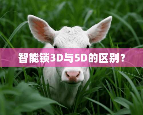 智能锁3D与5D的区别？