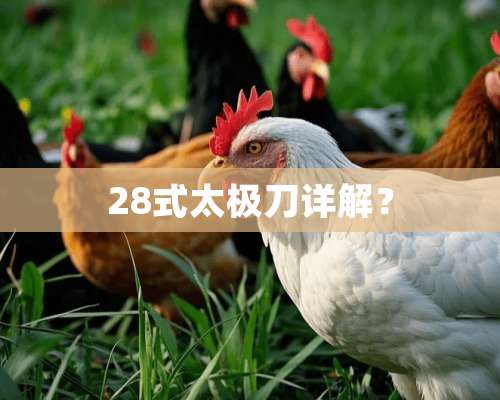 28式太极刀详解？