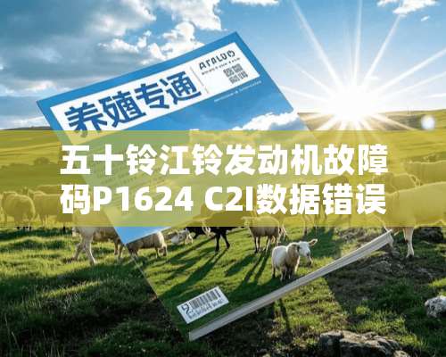 五十铃江铃发动机故障码P1624 C2I数据错误是什么意思