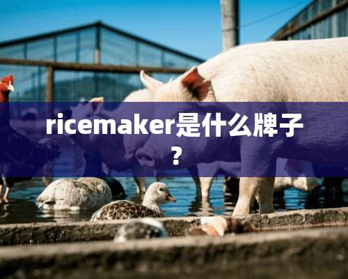 ricemaker是什么牌子？