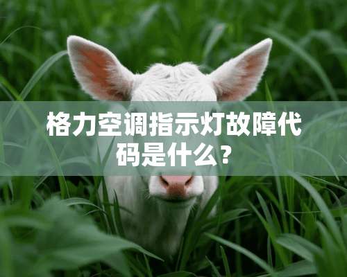 格力空调指示灯故障代码是什么？