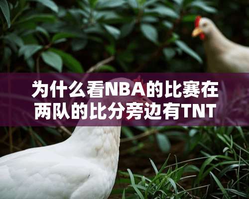 为什么看NBA的比赛在两队的**旁边有TNT的字样？是什么英文简写？什么意思啊？