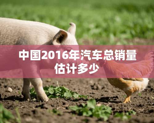 中国2016年汽车总销量估计多少