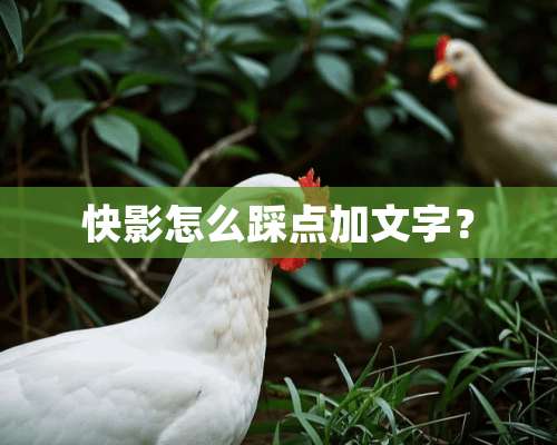 快影怎么踩点加文字？