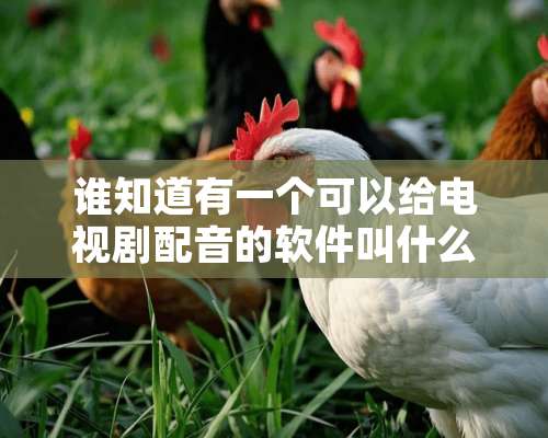 谁知道有一个可以给电视剧配音的软件叫什么名字？