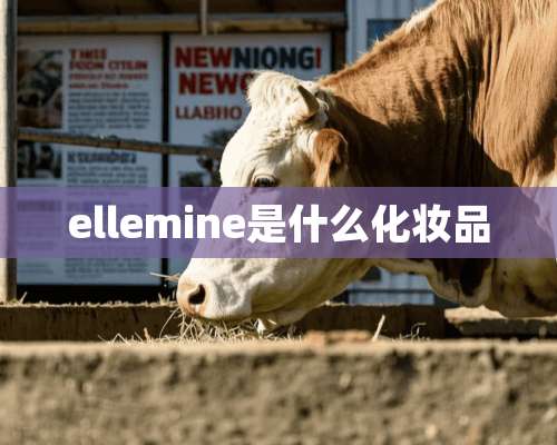 ellemine是什么化妆品